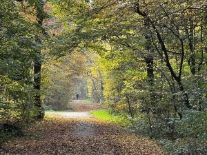 Auf dem Weg zum Ziel